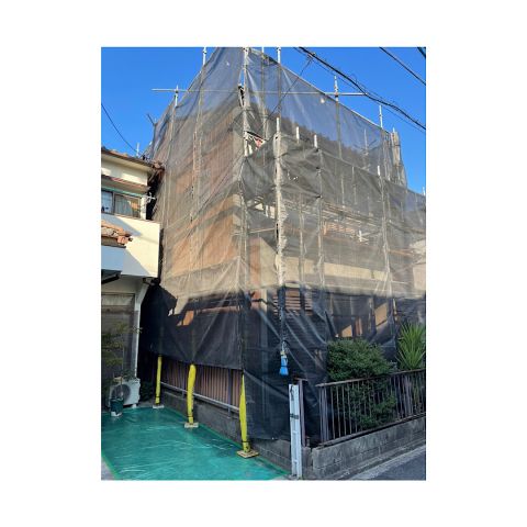 戸建て足場工事 害虫駆除工事